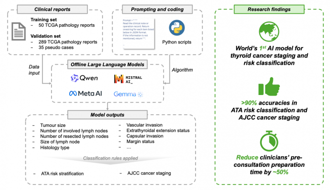 The HKUMed-developed model makes use of four offline large language models —Mistral, Llama, Gemma, and Qwen— to analyse clinical documents for the efficient and accurate staging and risk classification of thyroid cancer.